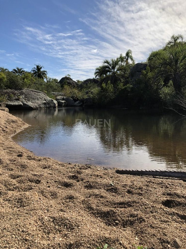 Venta De Campo De 156 Hectareas En Garzon
