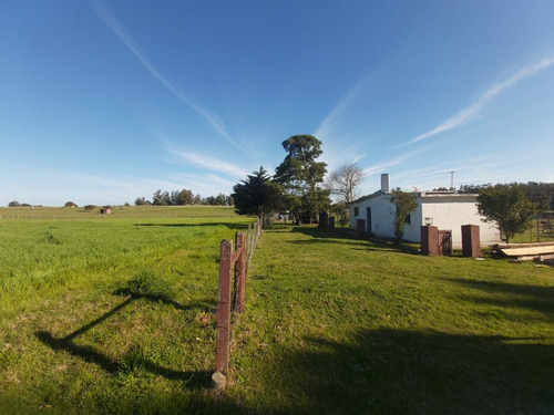 Venta Chacra Ruta 39 , 8 Has - Ref: 3416