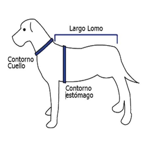 Imagen 5 de 5 de Correa Cuero Para Perro