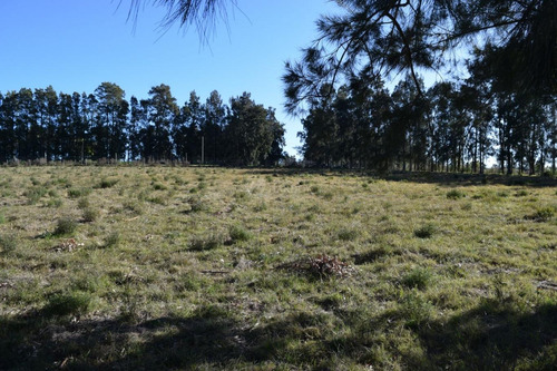 Venta Chacra Ruta 60 Maldonado Pan De Azucar Cerro Betete
