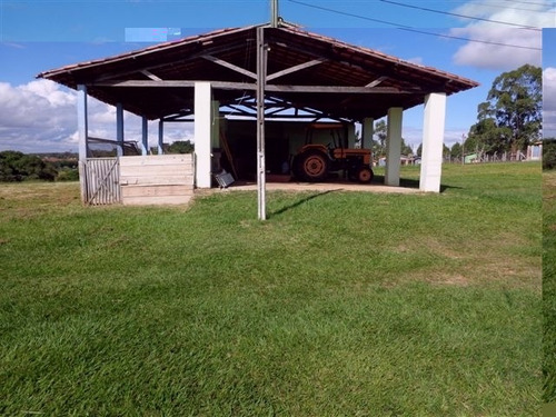 Imagem 6 de 13 de Venda - Sítio Zona Rural / Araçoiaba Da Serra/sp - 4254