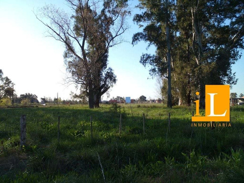 Imagen 9 de 12 de Venta De Lotes Ruta 210 Km 61.800 Brandsen!!!!