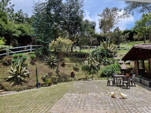Imagen 2 de 10 de Hermosa Casa Finca En Vereda Piedras Blancas Guarne