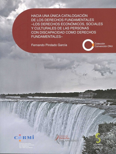 Hacia una unica catalogaciÃÂ³n de los derechos fundamentales, de Pindado Gracia, Fernando. Editorial Ediciones Cinca, S.A., tapa blanda en español