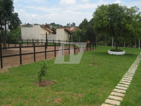 Imagem 6 de 7 de Chácara Baia Para Cavalos - Ch00099 - 68536515