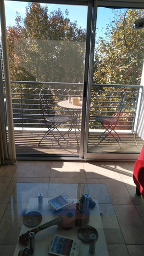 Imagen 3 de 10 de Departamento - Bernal Este