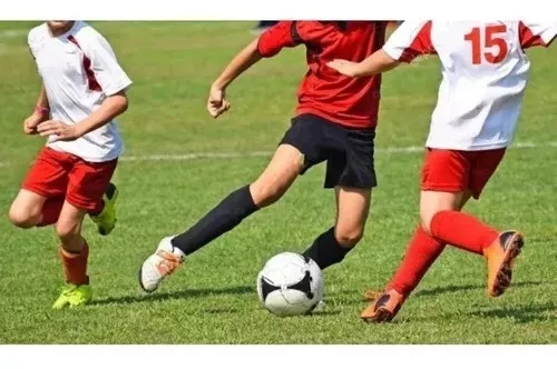 Calcetas Futbol Soccer verde bandera adulto – racotex