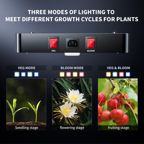 Bestva 3000w Led Grow Light 6x5ft Cobertura Lm301b Diodos 10