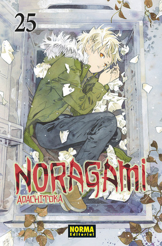 Libro 16.noragami.(comic Manga) - Adachitoka