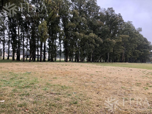 Imagen 9 de 30 de Venta De Terreno En Campos De Roca Ii (27850)
