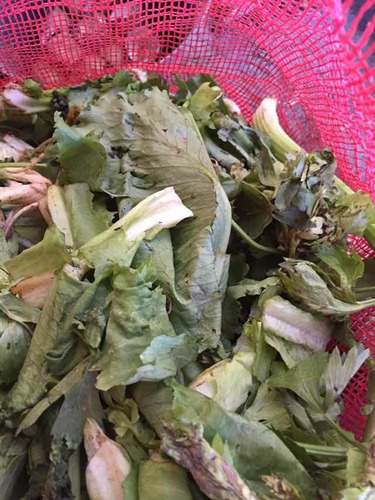 Humus Sólido De Compost Vegetal Puro Por Kilos.