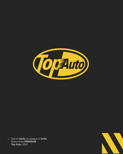 Cadena Liquida Nieve Antideslizant Aerosol Premium Top Auto