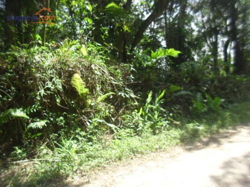 Imagem 4 de 12 de Terreno Ideal Para Chácara À Venda, 1.387 M² - Estância Alto Da Serra (ouro Fino Paulista) - Ribeirão Pires/sp - Te0959
