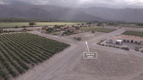 Terreno - Cafayate