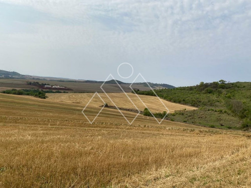 Imagem 3 de 8 de Fazenda Para Plantio Próximo A Londrina (71,05 Alqueires) - Mi1373