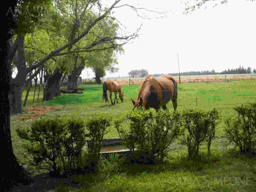 Imagen 9 de 10 de Campo De 81 Ha En Excelente Ubicación Frente A Ruta