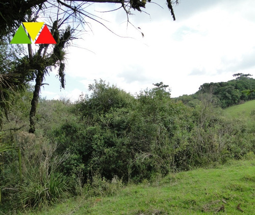 Imagem 9 de 30 de Chaçara Em Araucária. - Ch00097 - 34982946