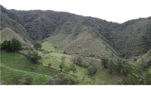 Finca En Venta La Unión Via Abejorral Antioquia. 83 Hectareas