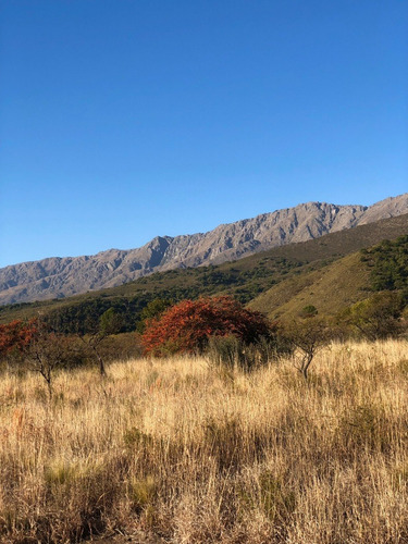 Imagen 3 de 13 de Lote En Barrio Los Olivares De Los Hornillos / Traslasierra Con Escritura