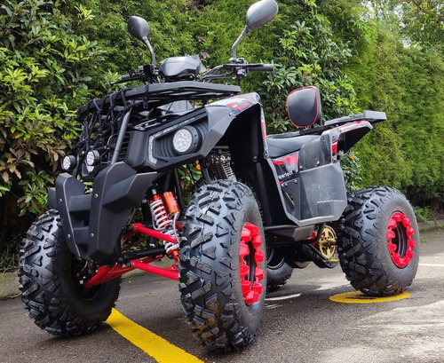 Imagen 6 de 15 de Cuatrimoto Boss 250cc