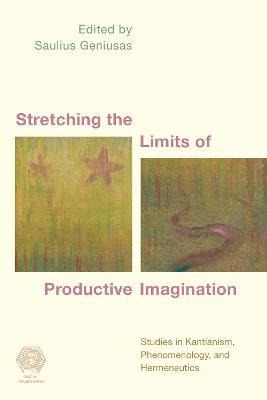 Libro Stretching The Limits Of Productive Imagination - S...