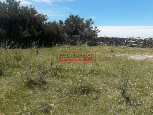 Imagen 16 de 16 de Campo En Carape - Departamento De Maldonado