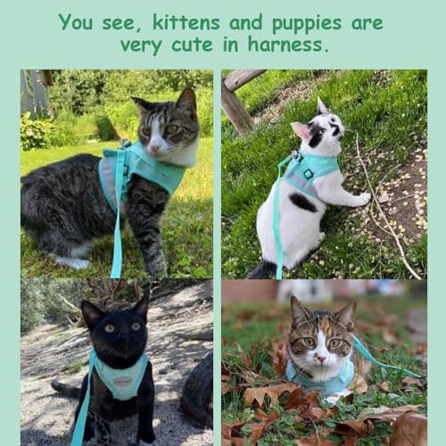 Arnés Para Gatos Y Cachorros Con Correas, Arnés De Gato A Pr
