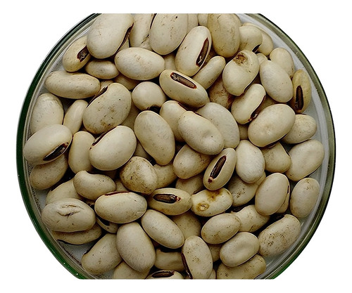 Sementes Feijão De Porco Orgânica - Saco Com 5,0 Kg