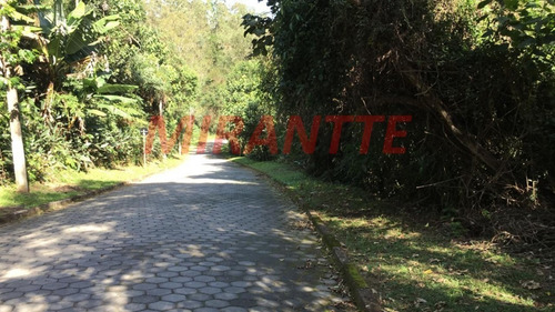 Imagem 3 de 4 de Terreno Em Serra Da Cantareira - São Paulo, Sp - 321367