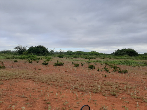Imagem 6 de 10 de Propiedade Para Criar E Para Agricultura