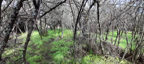 Campo Para Inversión En San Carlos