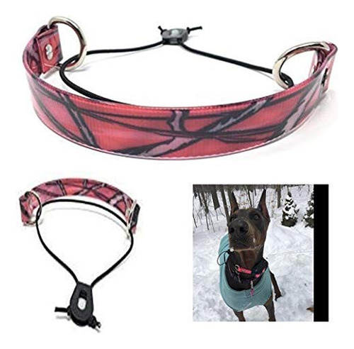 Sparky Pet Co - Correa De Repuesto Ecollar - Collar De Perro