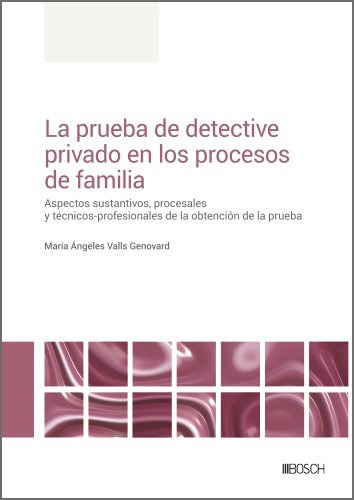 La Prueba De Detective Privado En Los Procesos De Familia -