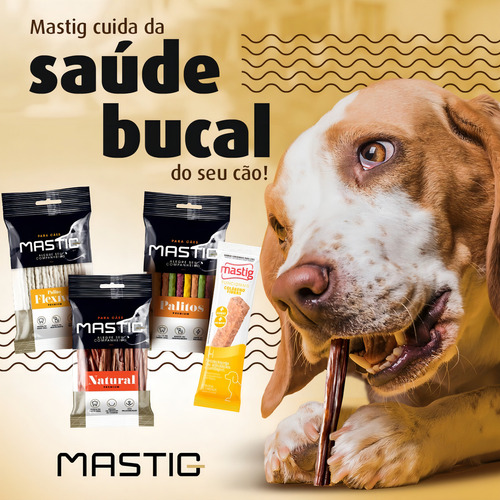 Petisco Mastig Filezinho Chips 6