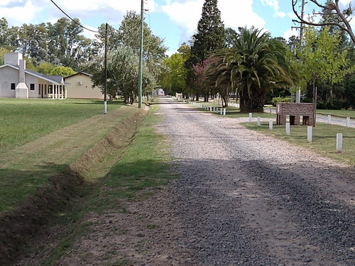 Imagen 4 de 7 de Terreno En Venta En Lobos