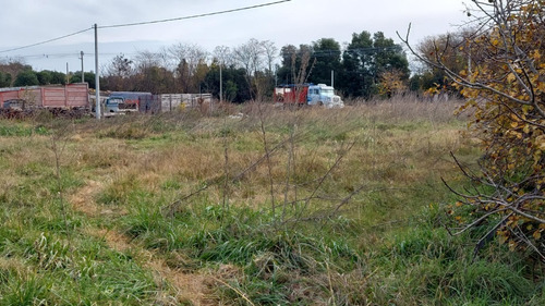 Imagen 4 de 10 de Vendo Lote Sobre Ruta 205, Muy Buena Ubicación!!