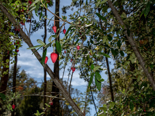 Inmersas En Bosque, Con Orilla De Rio Y Vista Al Lago.