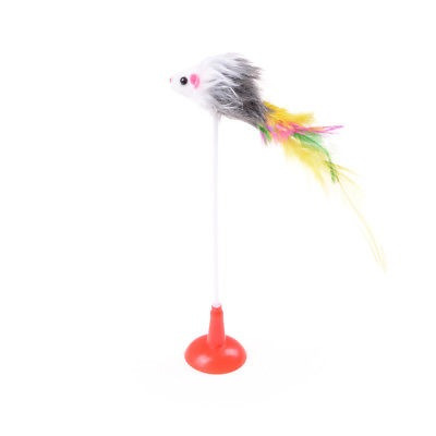 Imagen 3 de 5 de Plumas De Colores Gato Ratón Falso Fondo Lechón Gato Teaser