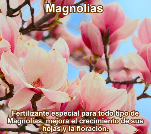 Fertilizante Especial Para Magnolias Por 100 Gr (rinde 25 L)