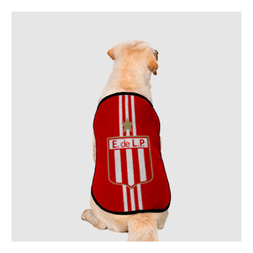 Ropa Abrigo Capa Perro Gato - Talles Chicos - Vachicho T.3 - Estudiantes Lp 01