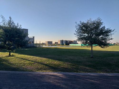 Imagen 5 de 5 de Oportunidad En San Lucas De Canning!!! Lote Interno De 800 Mts!!! Escucha Oferta!!!