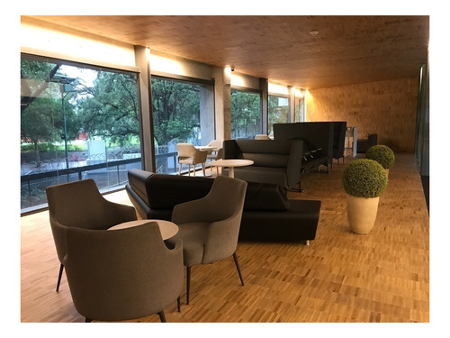 Imagen 8 de 17 de **oportunidad** Oficinas Ecológicas Y Funcionales, En Renta