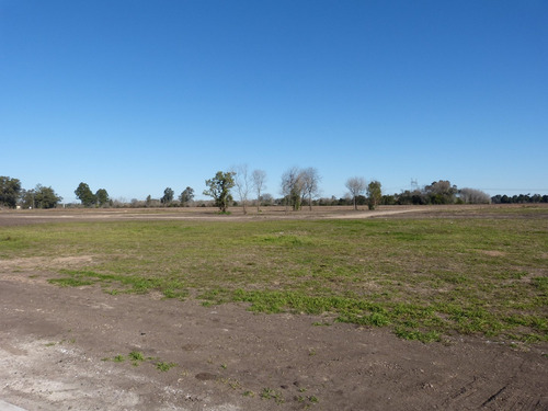 Imagen 12 de 17 de Terreno Lote En Venta Ubicado En Parada Robles, Exaltación De La Cruz, G.b.a. Zona Norte
