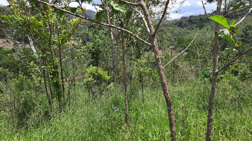 (k.a) Ofertas Imperdiveis - 600m² Apenas 10mil De Entrada