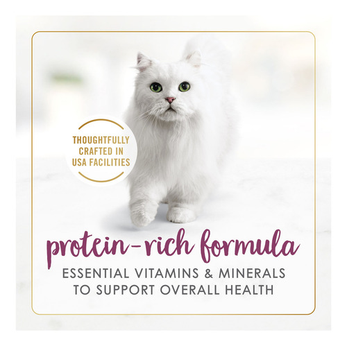 Fancy Feast Chicken Feast In Gravy Alimento Gato 12 Latas