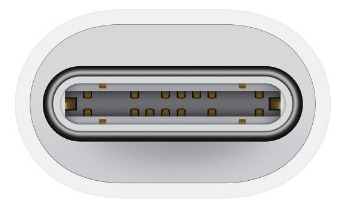 Adaptador De Usb-c A Lightning - Distribuidor Autorizado