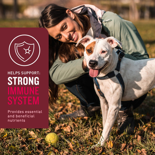 Vetiq Multi Vitamin Supplement For Dogs, Hickory Smoke Flavo