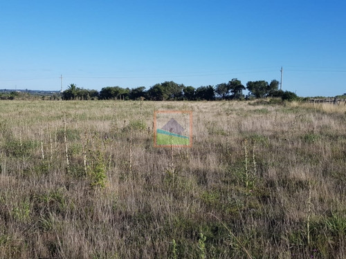 Imagen 7 de 12 de Chacra En Los Ceibos 4 Hás