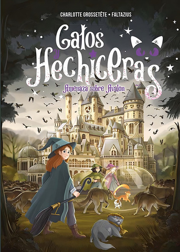Gatos y Hechiceras (Vol. II): No, de Grossetête, Charlotte., vol. 1. Editorial PICARONA-OBELISCO, tapa pasta dura, edición 1 en español, 2023