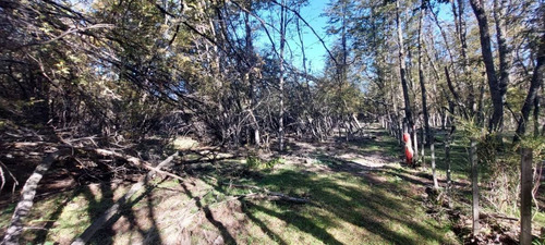 Imagen 4 de 11 de Lote De 1.759m2 Totalmente Plano En Las Balsas, Villa La Angostura
